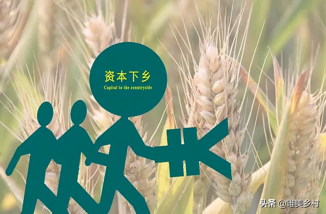 资本下乡，参与乡村振兴！四“共”模式，6种收益，农民持续受益