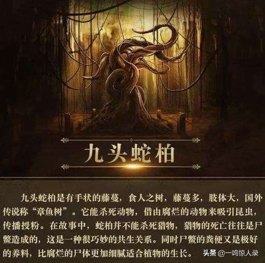 盘点盗墓笔记中最恐怖的十大怪物(盘点盗墓笔记中最恐怖的十大怪物是)