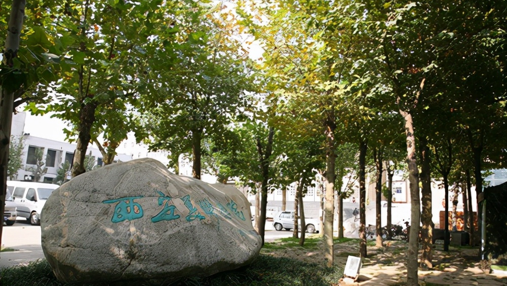 八大美院哪些专业强？从国家级一流本科专业数量见分晓，国美居首