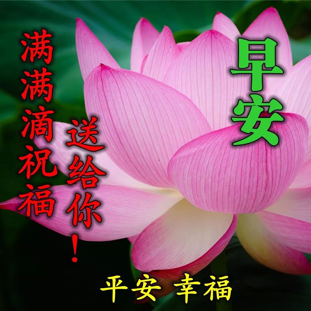 微信早安问候朋友的温馨语录 晨起一声早，事事皆美好图片