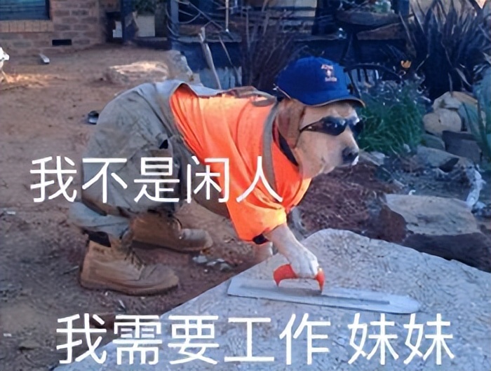 疫情之下，中国动画夏至未至
