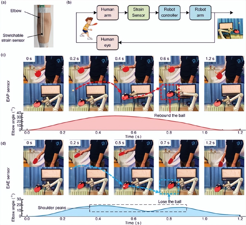 《AFM》清华大学：可打印导电弹性体用于高保真监测动态应变