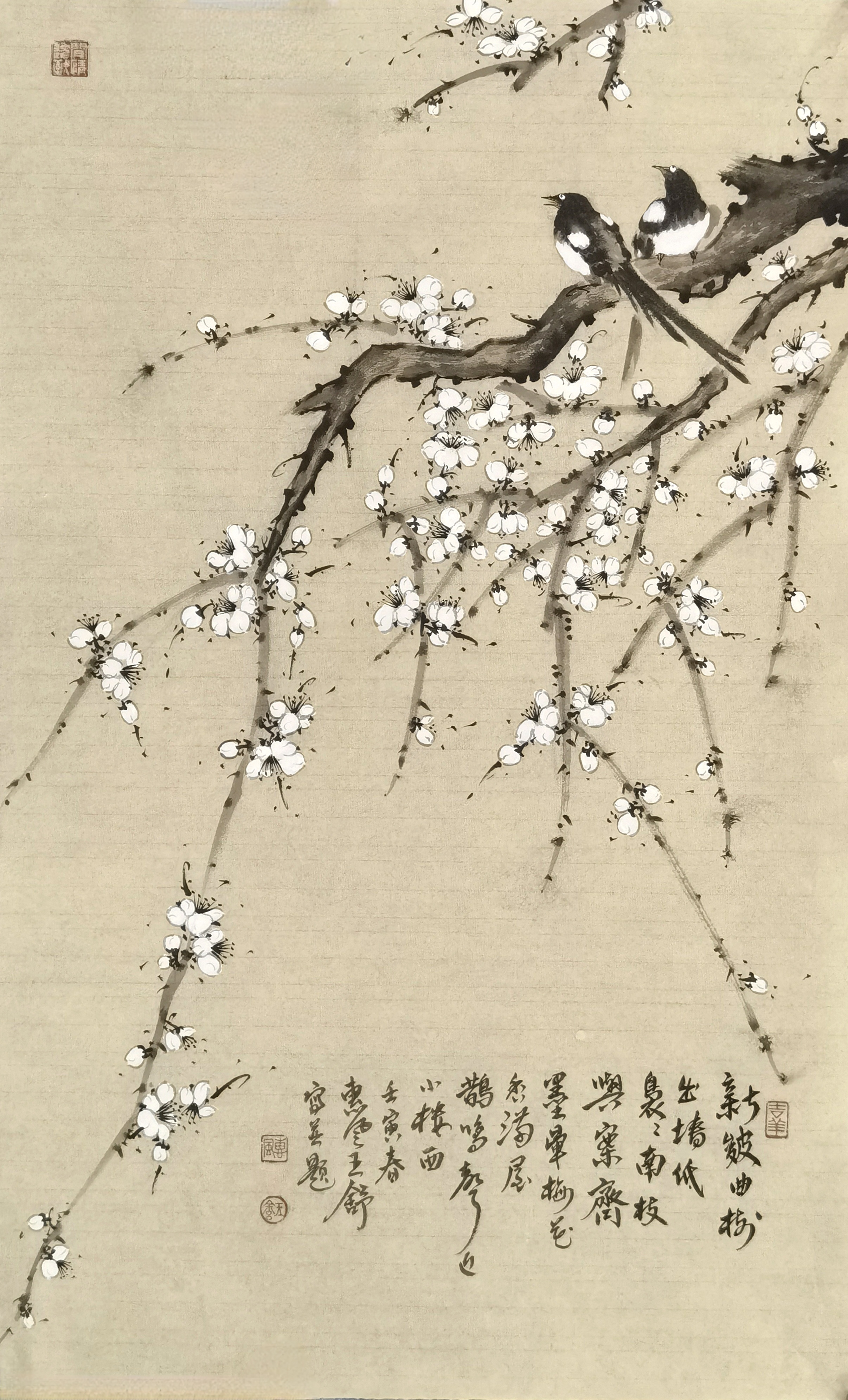 新锐画家王舒作品赏析