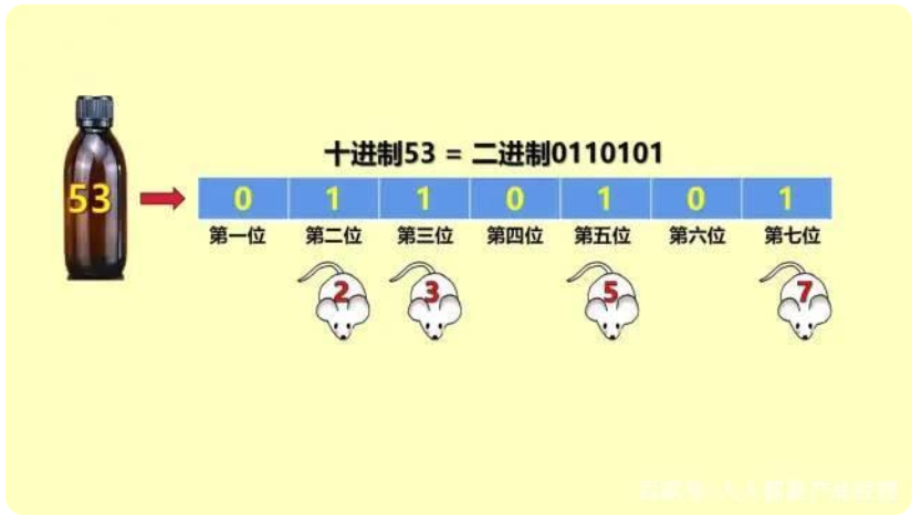 進擊的程序員——從小白鼠到彩票的算法
