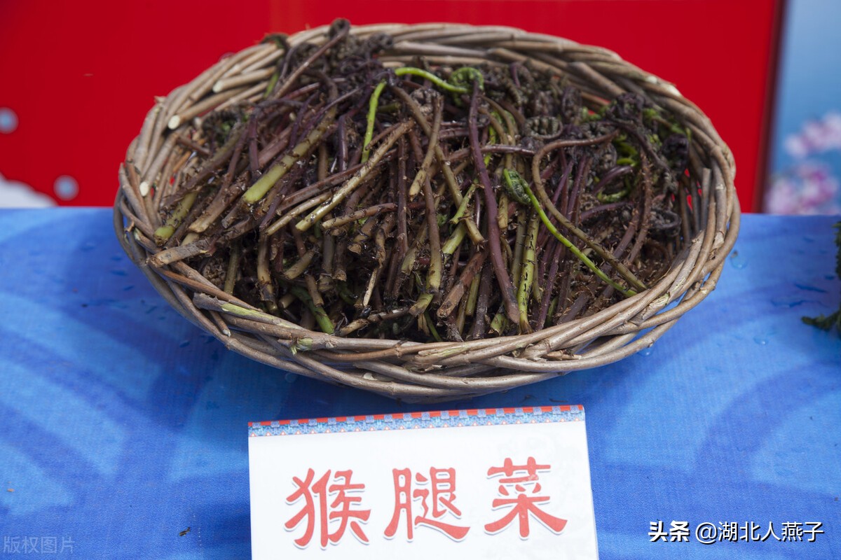 50种野菜大图片，教你认识不同的野菜和吃法，你想要的野菜这里有