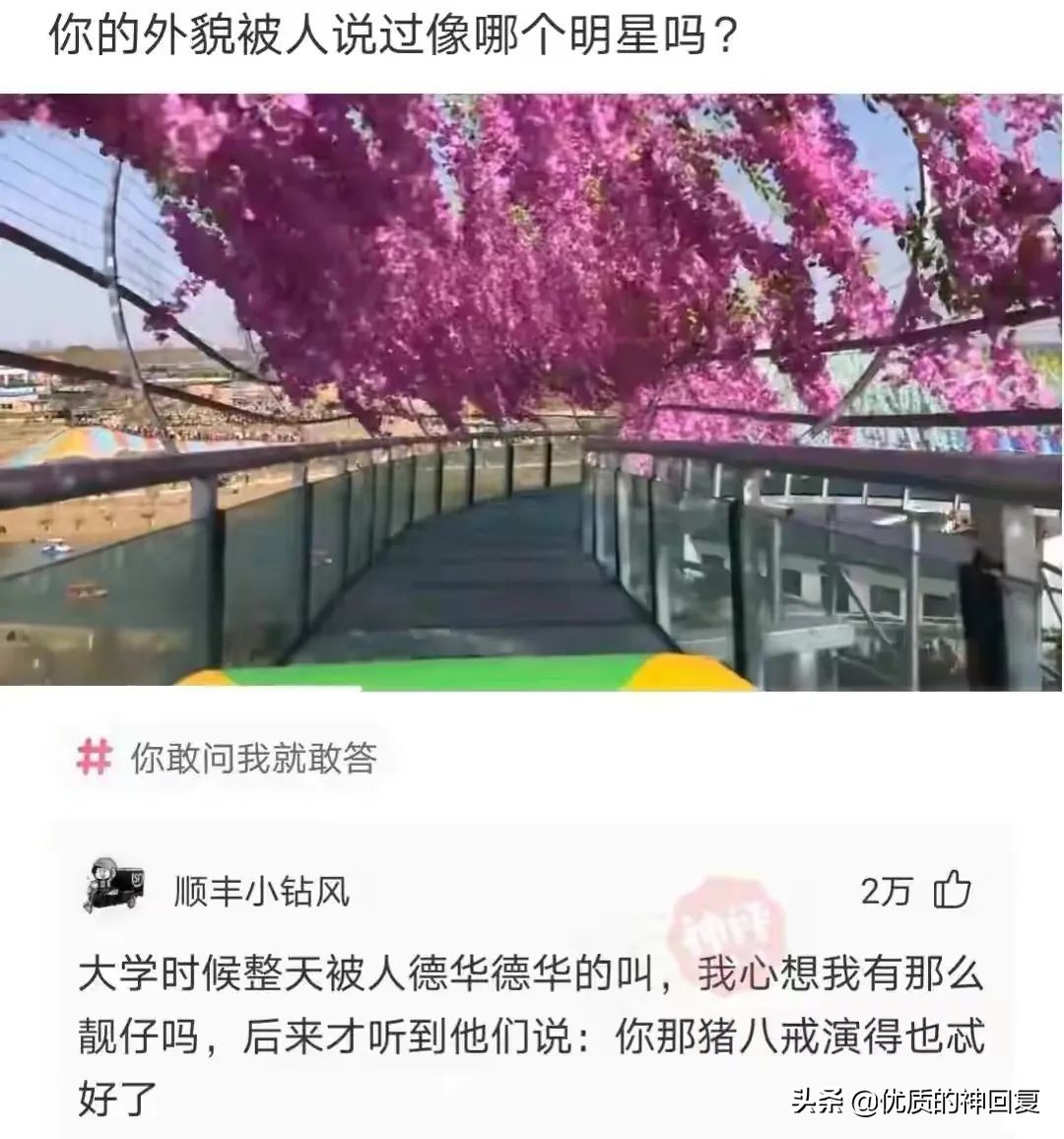 神回复：弟弟的牙齿长成这样，戴牙套要一万多，该怎么办？