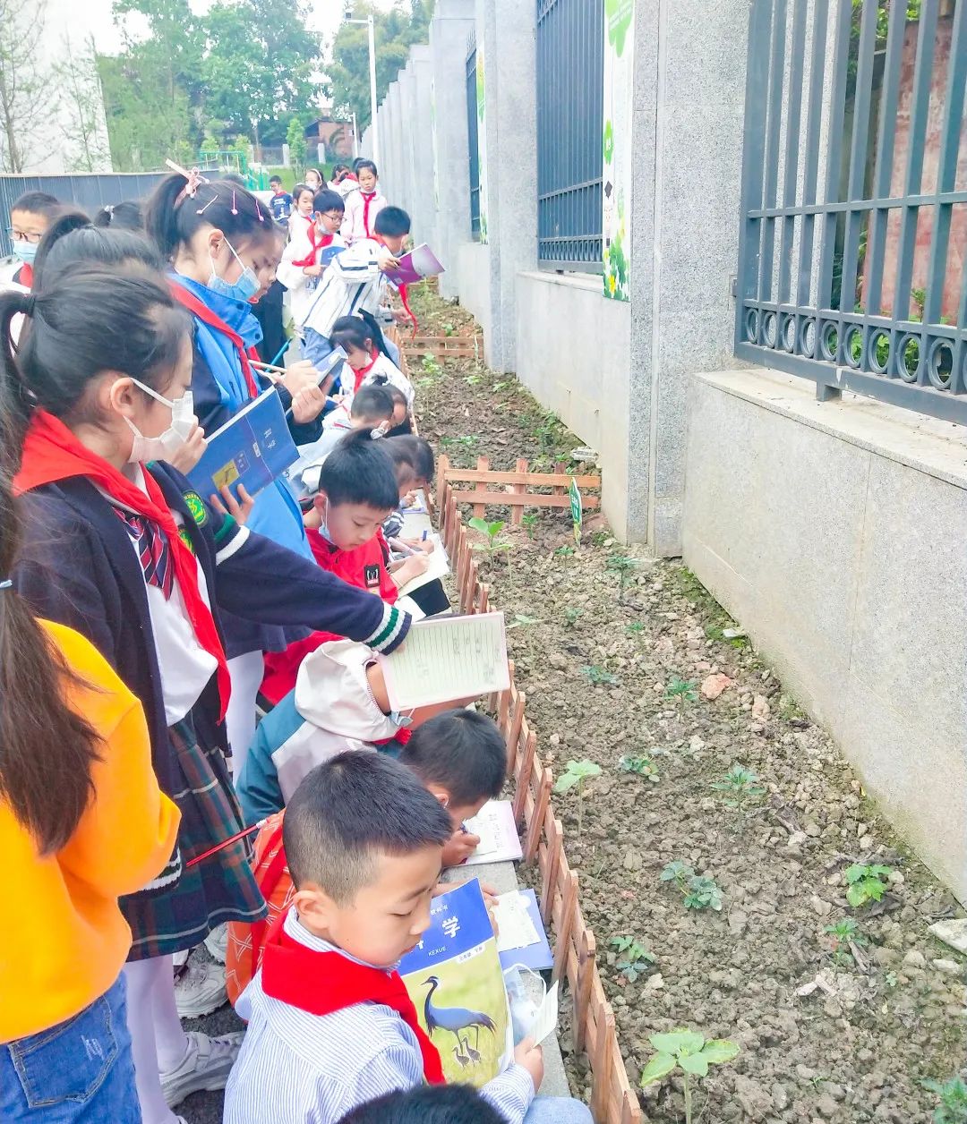 黄甲小学开展“人人参与科技节，我的科技节我做主”科技节活动