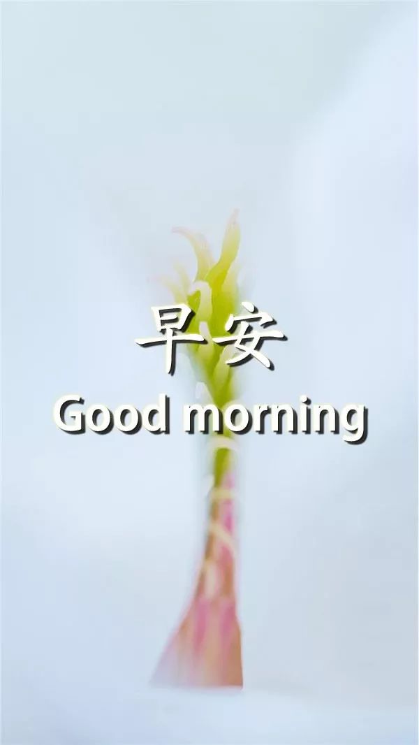 感恩节清晨最新早安暖心祝福语句 谢谢你出现在我的生命里图片
