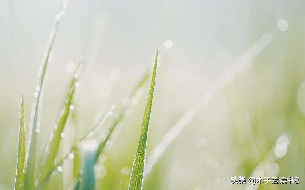 四年级下语文知识清单