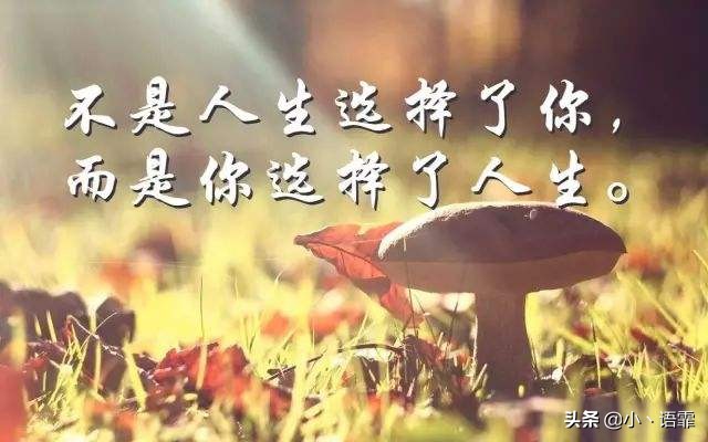 不抱怨励志语录正能量