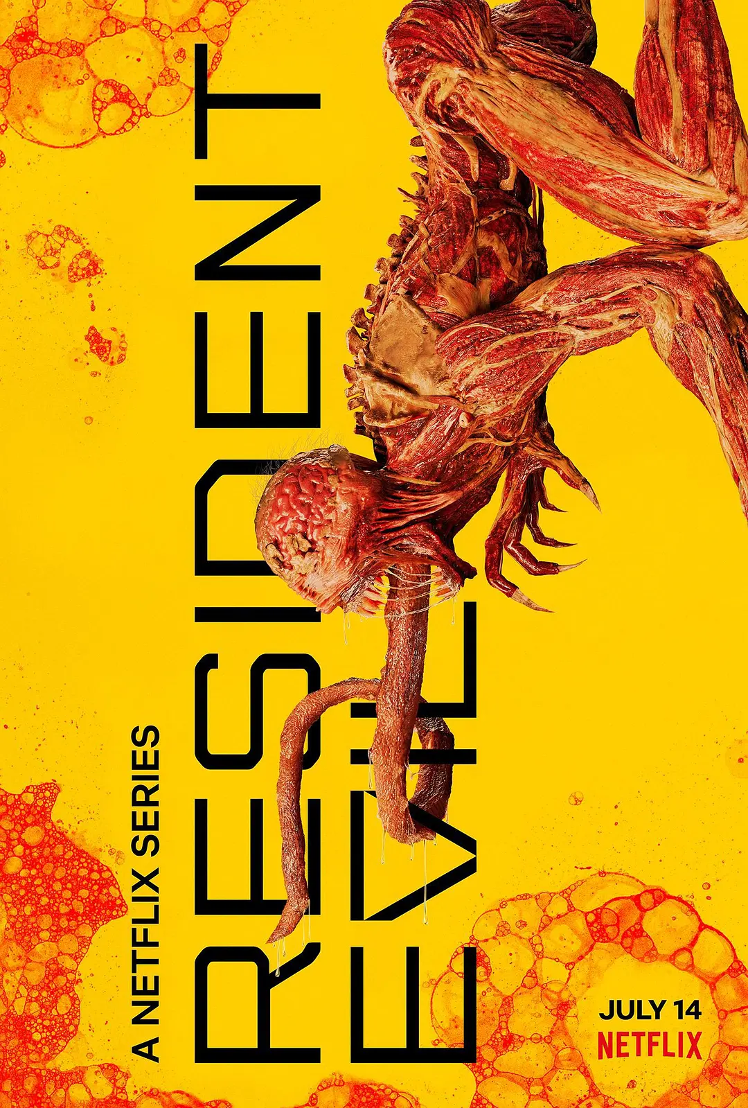 必看必看！7月还有这些回归及新播出的美剧助你消暑降温