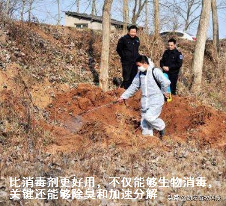 养殖场只能自己处理病死动物的3个无害化简单方法