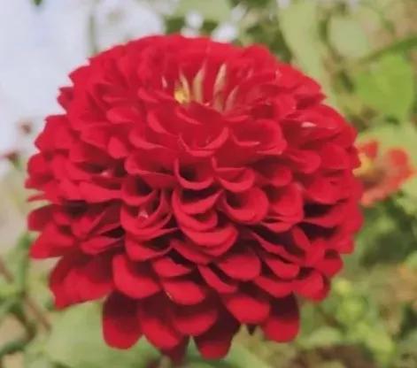 春天里，春风得意马蹄疾，一日看尽长安花
