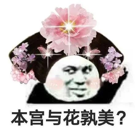 表情包｜本宫与花孰美