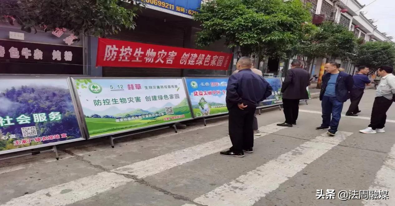 澧县王家厂镇开展“5.12”林草生物灾害防控宣传周活动
