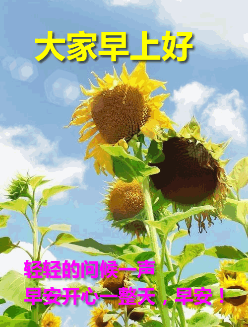 秋分早上好问候语，美好祝福问候，心情美妙，愿你开心永远图片
