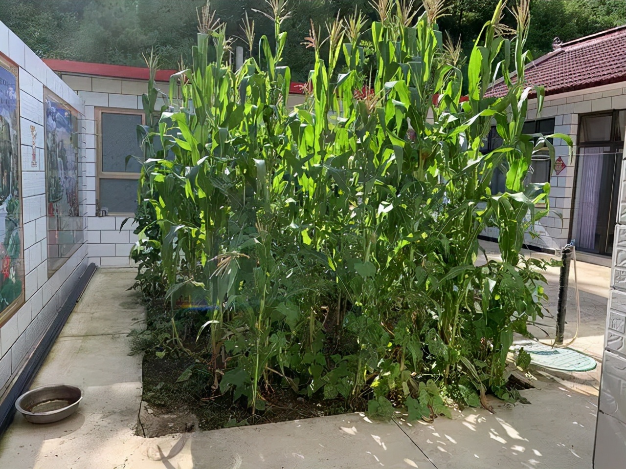 北京最新发布7套农村院子出租信息，整体租金价格有松动迹象