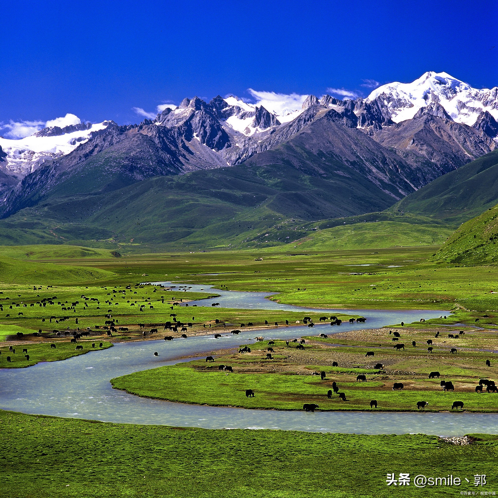 你知道中国最美的六大草原在哪里吗?想要进行草原自驾游,哪个地方最好