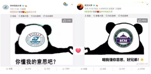 华中科大宣传片的“校草”，居然是隔壁武大的，网友：赶快还回去