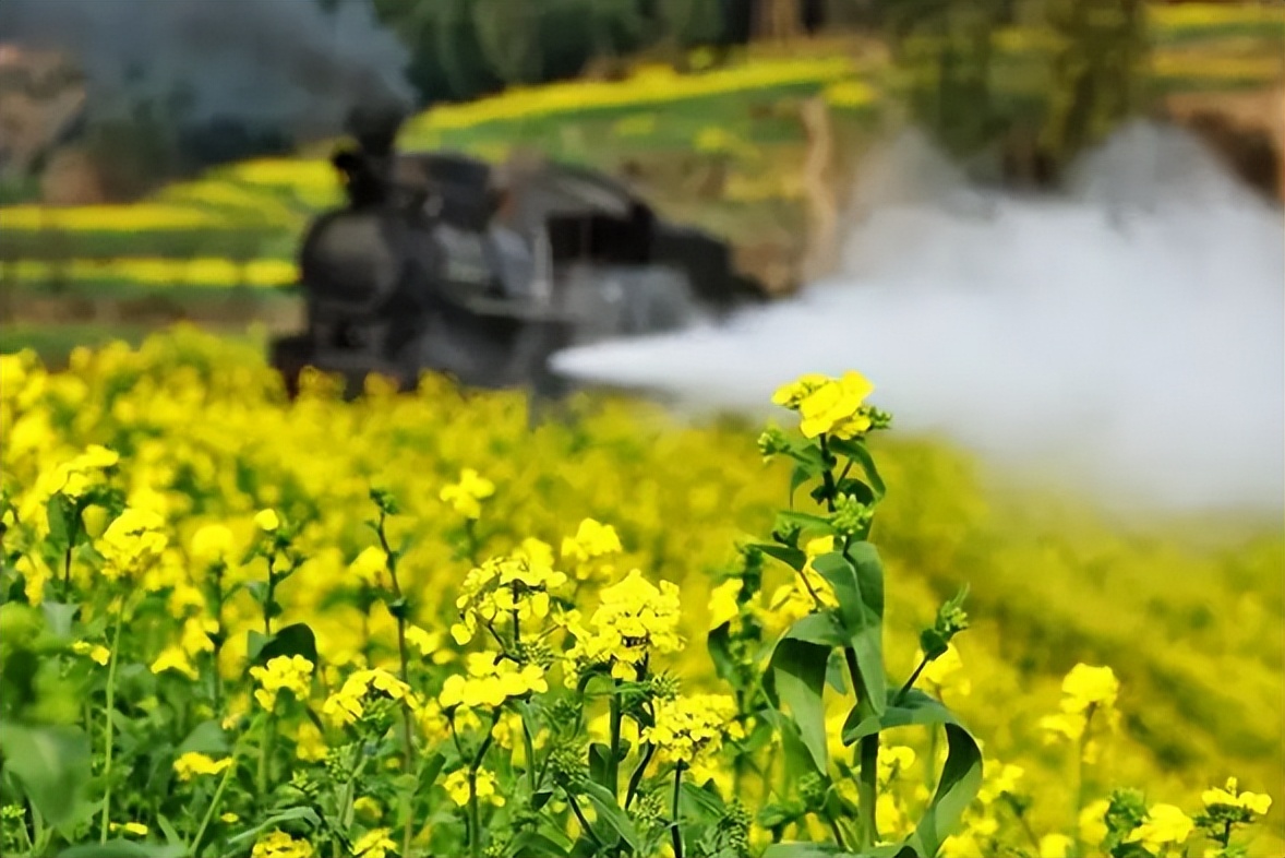 「诗词鉴赏」春日正好，春花烂漫，在古诗词里寻找最美的春日