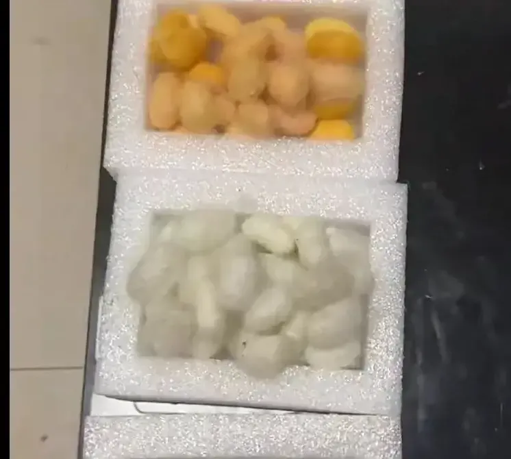 可惜了，湖北宜昌,一个女儿养十多条蚕变一千多条。到现在发展到一千多条