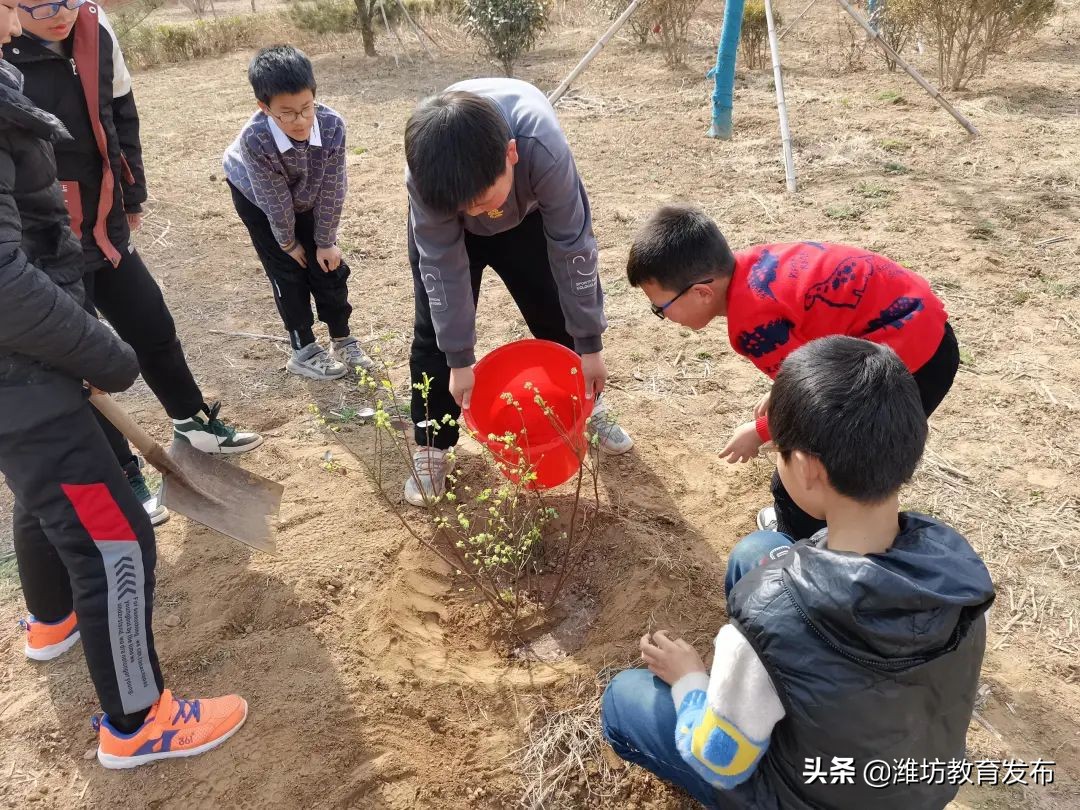 周播报 | 潍坊校园新闻（03.07—03.13）