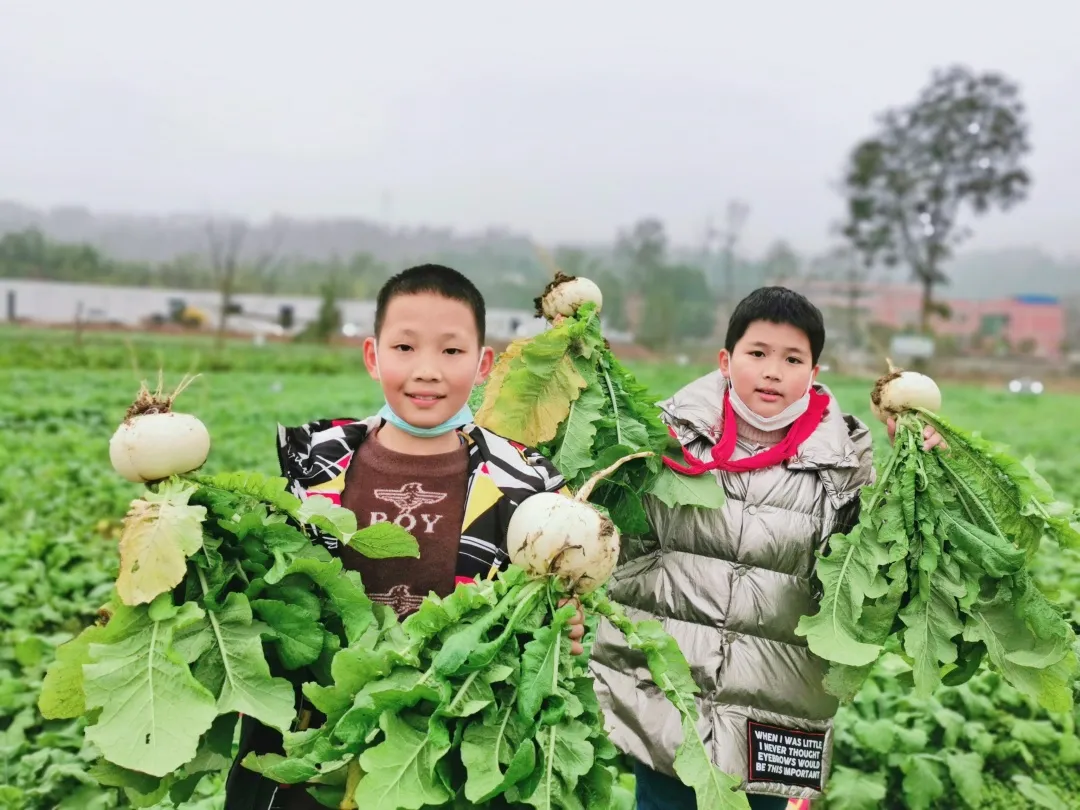 「城南小学•德育工作」小基地大收获 劳动实践快乐多