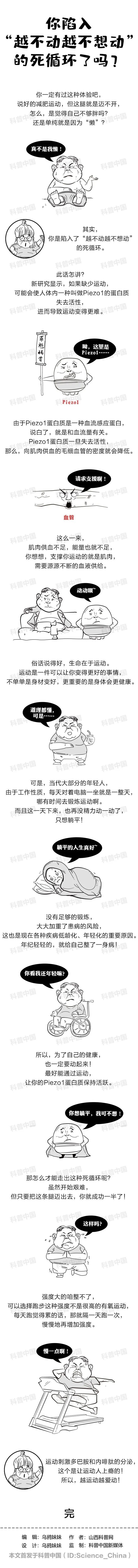 为什么人越不动就越不想动(越来越不想动什么原因)