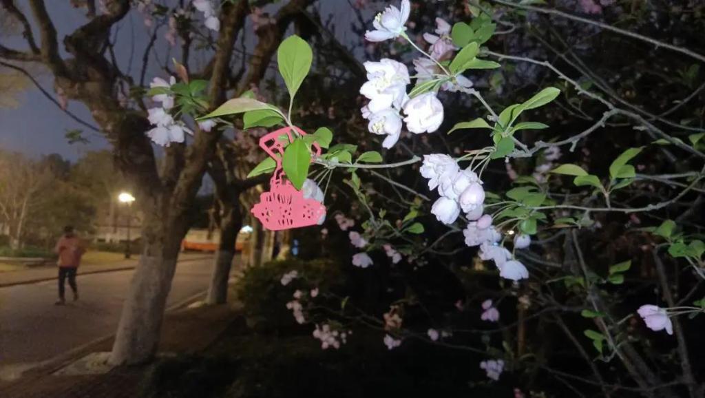 大学生被封异常难熬？我们应该尝试做这几件事