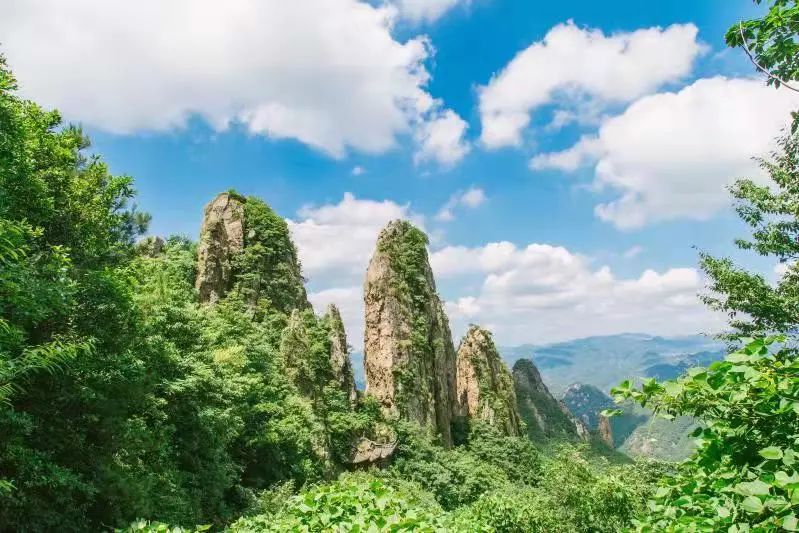 免费请你赏美景、品美食……千万文旅礼包已为你准备好，一起在金过大年！