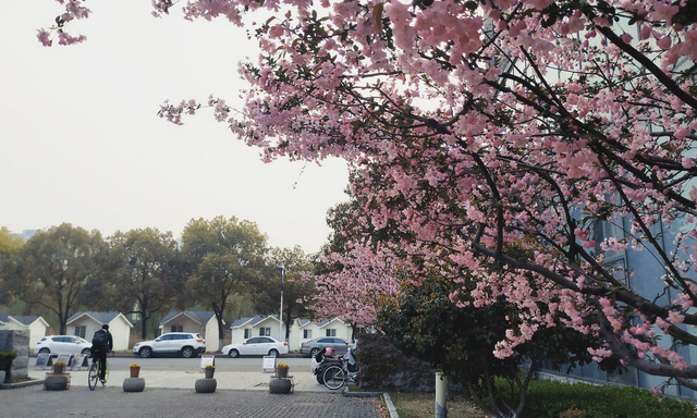江苏省8所大学新增院士：东南3人、南理2人，有2所为双非大学