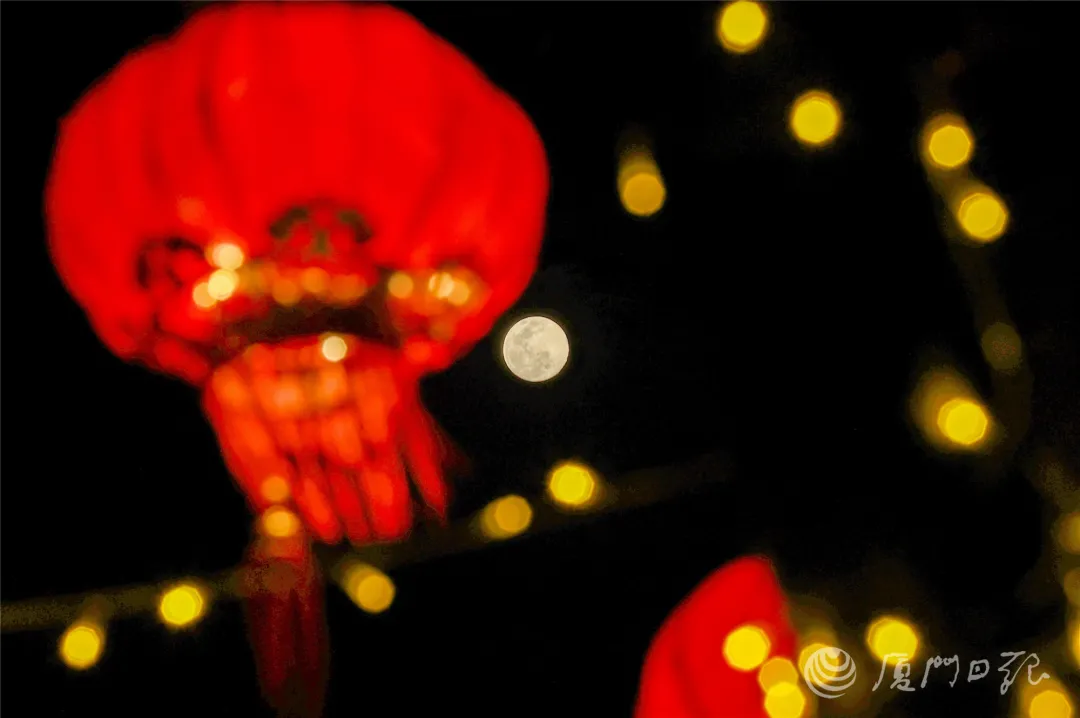 厦门出发赴崇武，湿冷天气下的汽车旅程体验