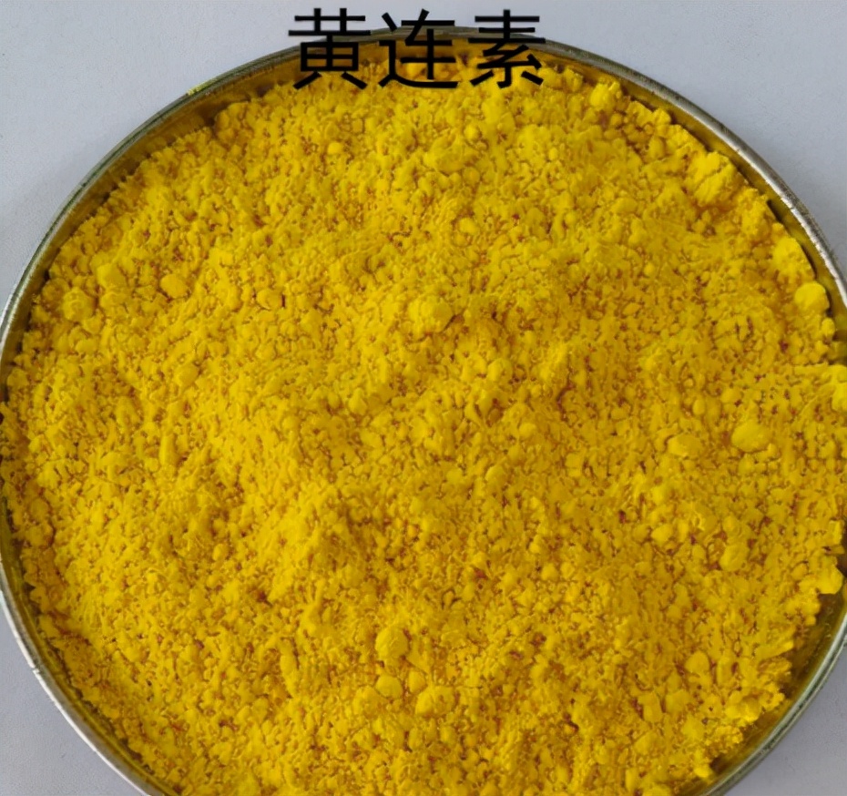物美价廉的盐酸小檗碱（黄连素），有多种功效，怎样合理使用？