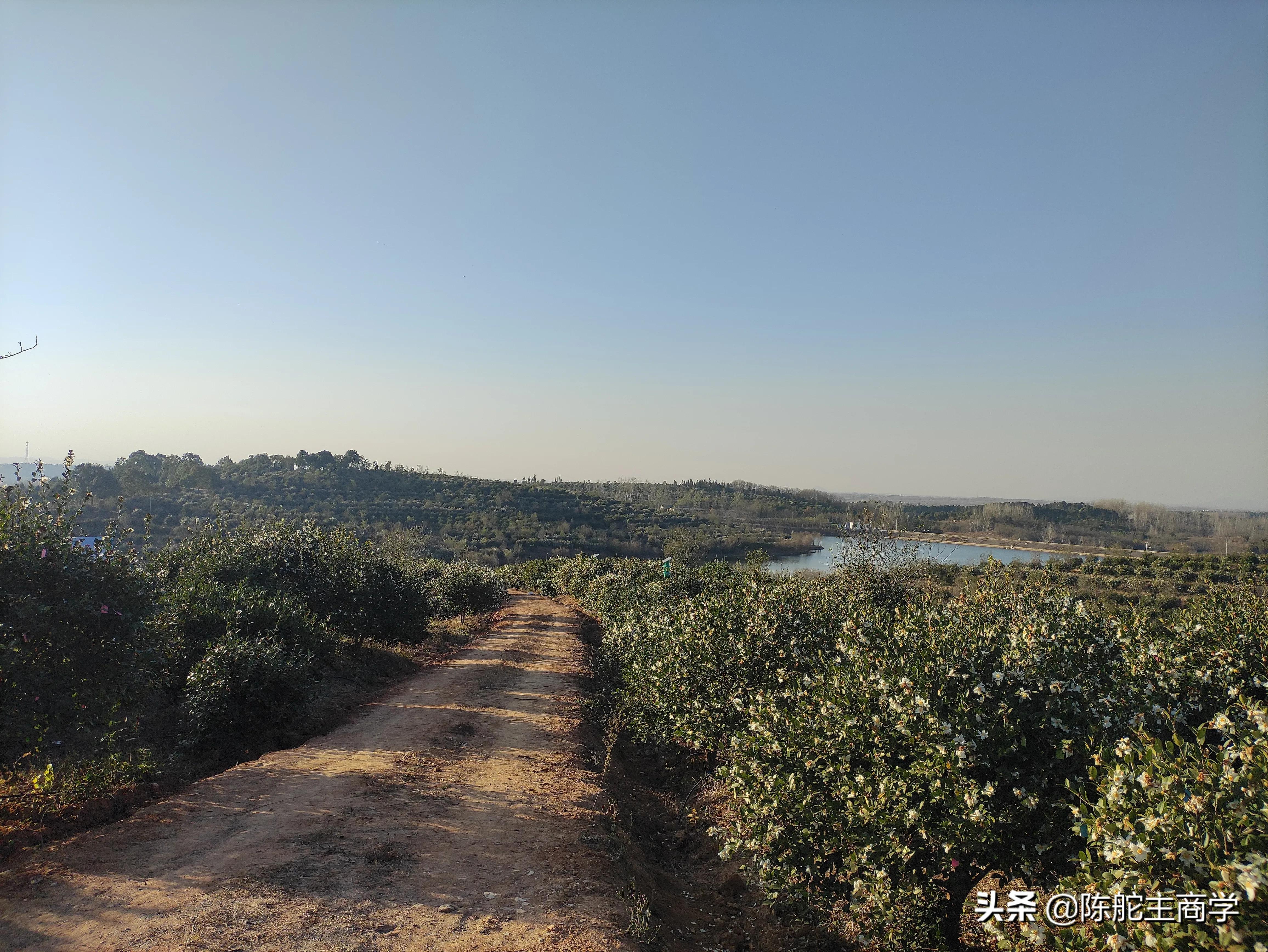 为什么你做自媒体一天100块都挣不到？真相来了