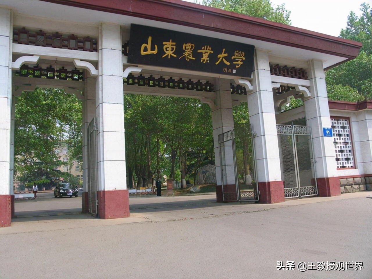 山东农业大学排名（考上山东农大就算捡漏）