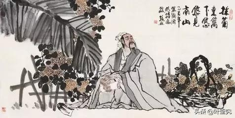 中国十大名花,您都知道吗?