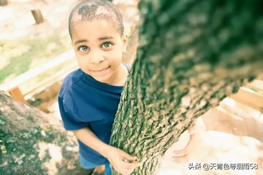 爱心树里面的好词好句大全集锦50句