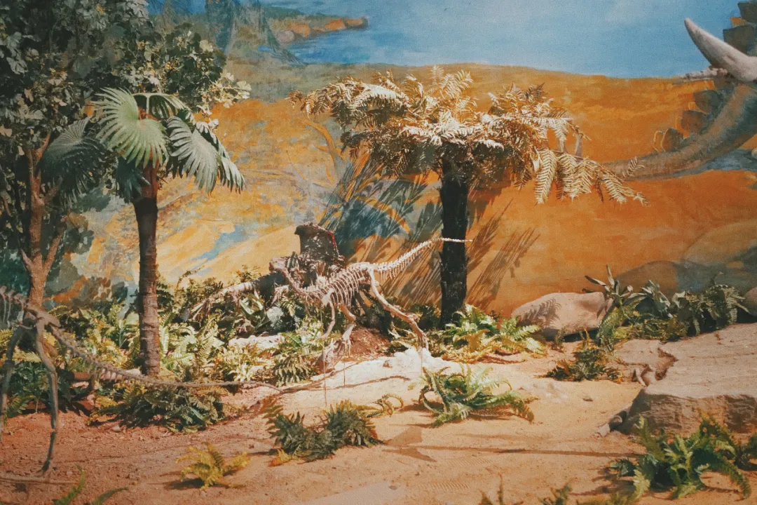 最近超火的盐帮菜之乡让我大开眼界，奇怪的知识又增加了