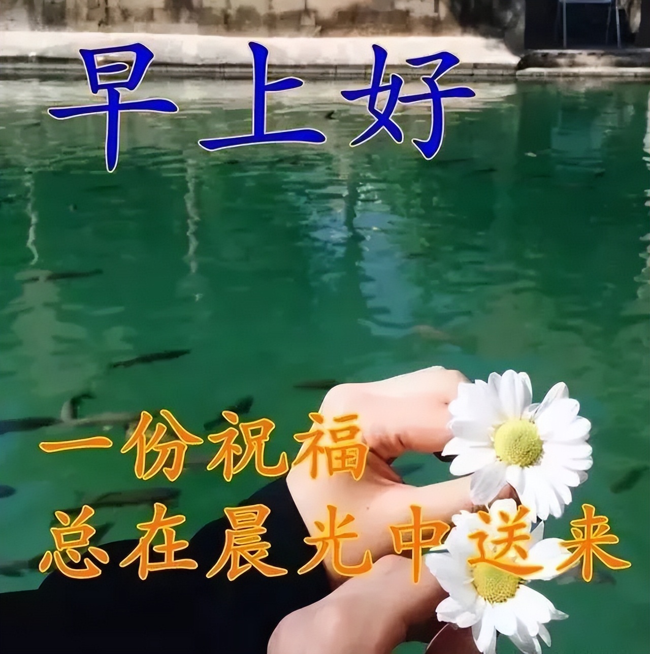 早上好问候祝福，一生快快乐乐，一世平平安安图片