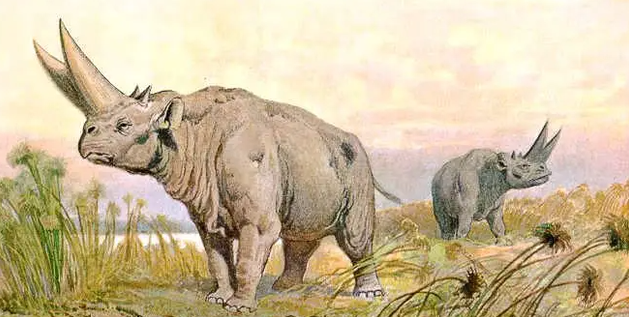 埃及重脚兽(埃及重脚兽有多大)-知道啦