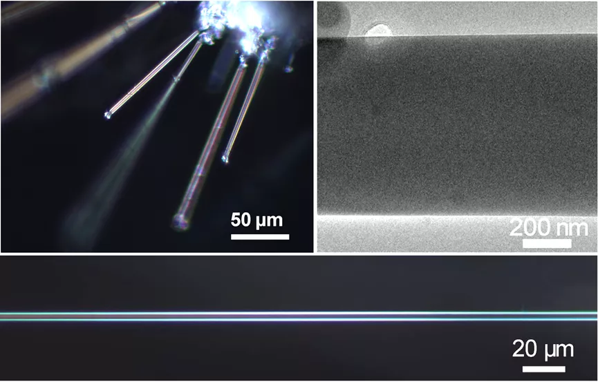 燃起来了！2021年中国科技的重大突破！网友：哭了，这就去好好学习