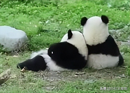 好好爱自己的干净治愈系文案短句