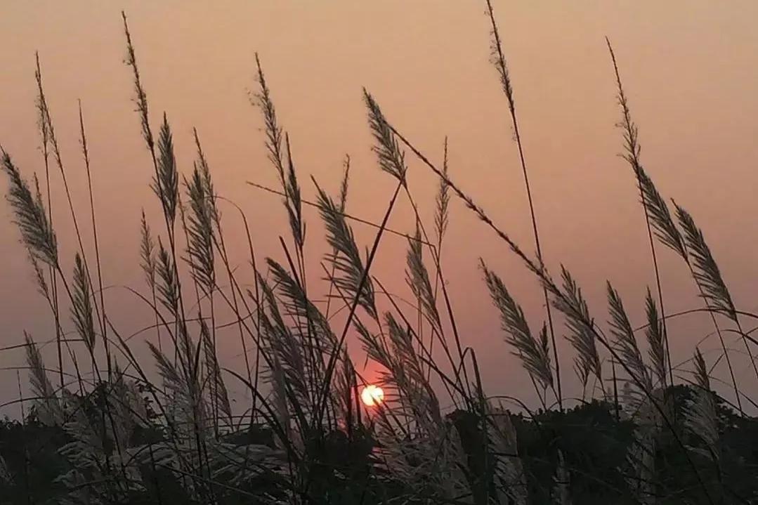 那些感到生活美好又值得的句子