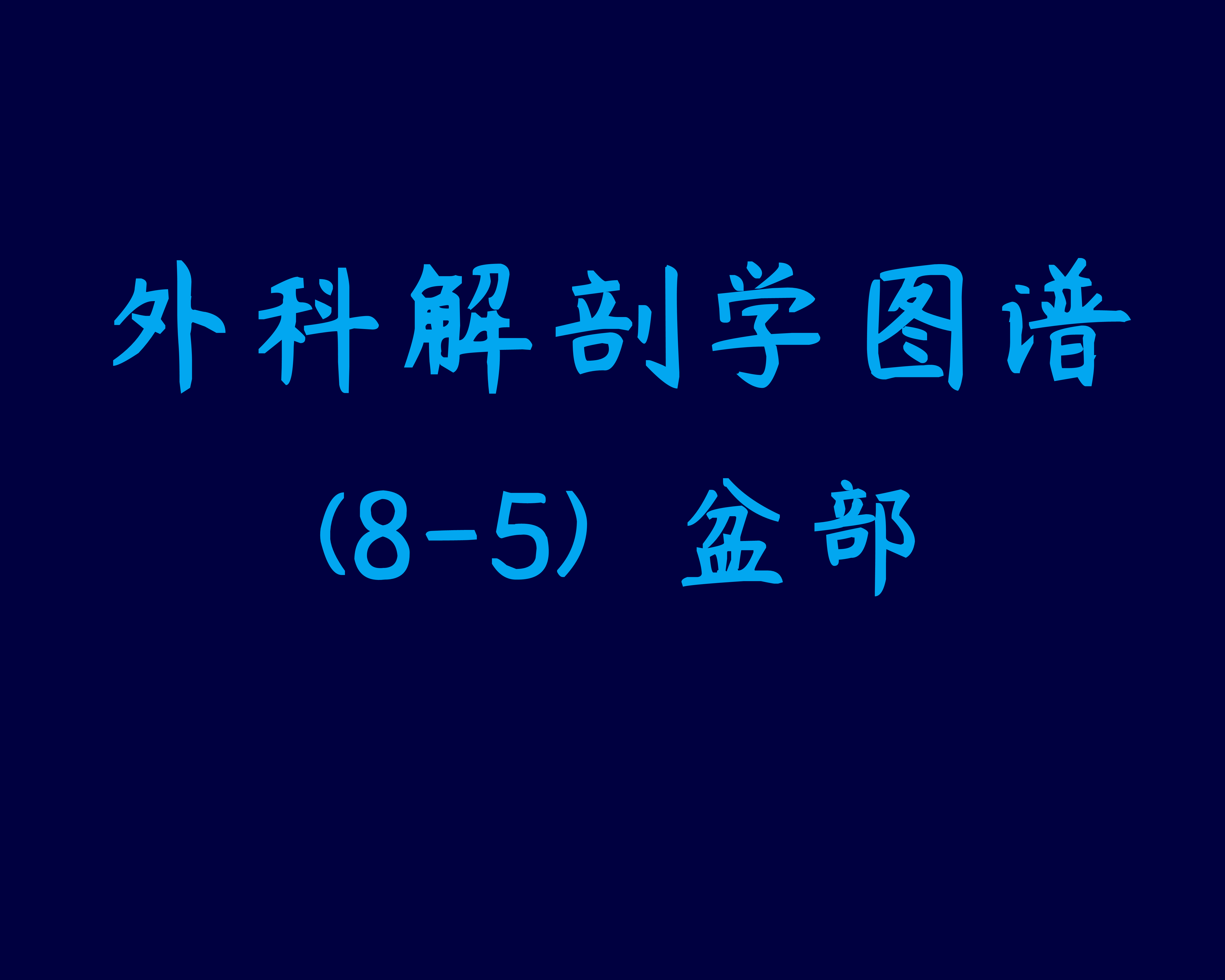 人体内脏位置图(图示集‖外科解剖学图谱(8-5)盆部)