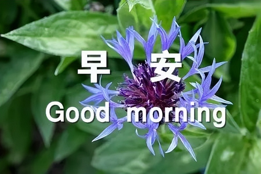 丰收节早上好问候语，送你祝福，知足才能常乐，珍惜才会幸福图片
