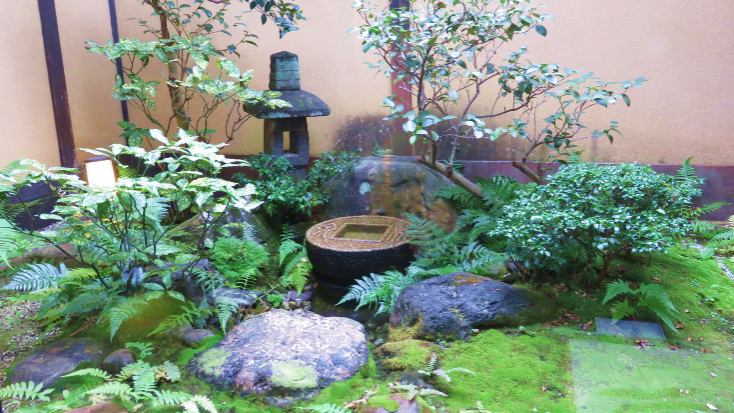 美圖來了 關于日本庭園中的石頭與樹木 每一幅都是經典 天天看點