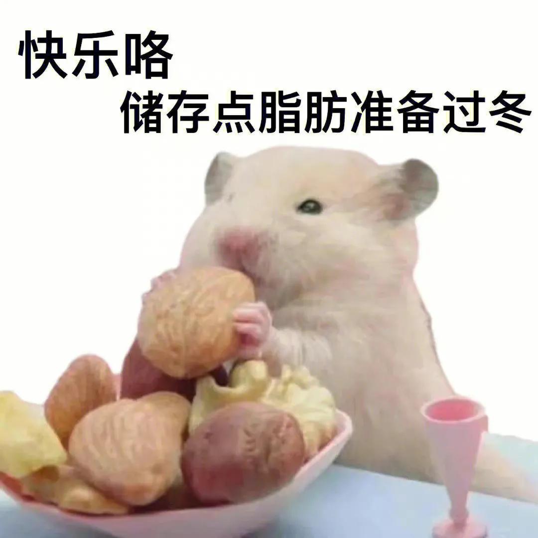 这是我能听的吗？