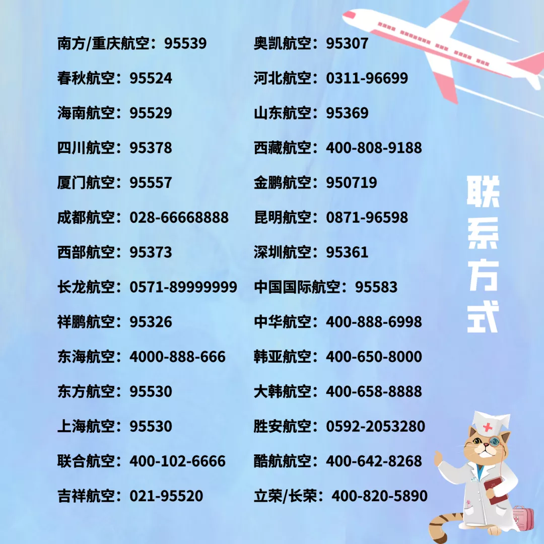 新年宠物托运保姆级指南,为了毛孩子一定要看