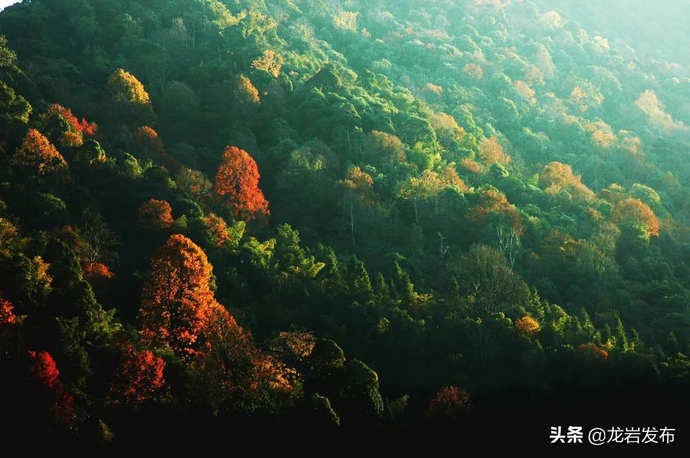 龙岩这里，科技赋能助力“双碳”