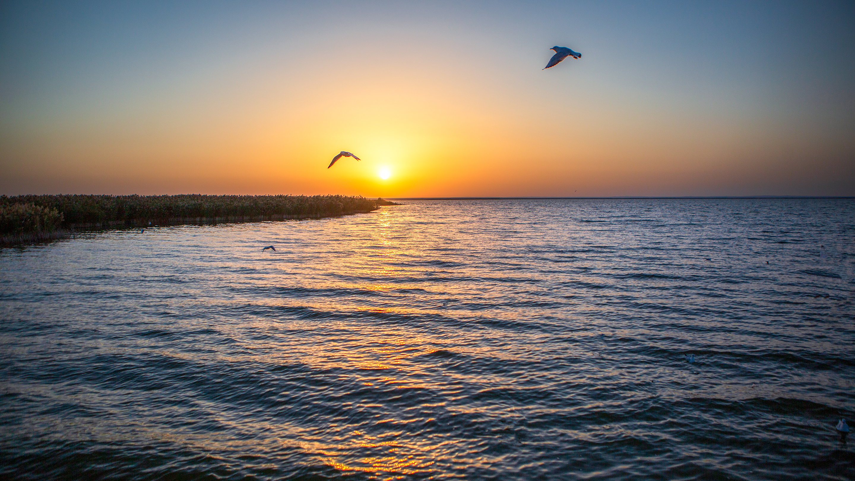 西部自驾三十三天(十)——居延海醉美日出,朝霞鸥影相辉映